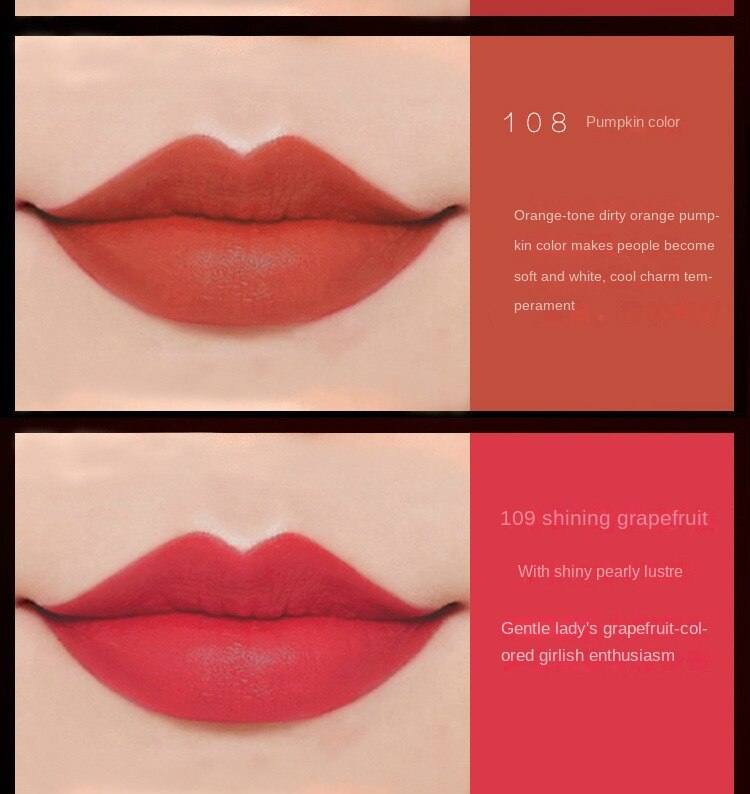 10 pc  lipstick set High-Value Gift Box